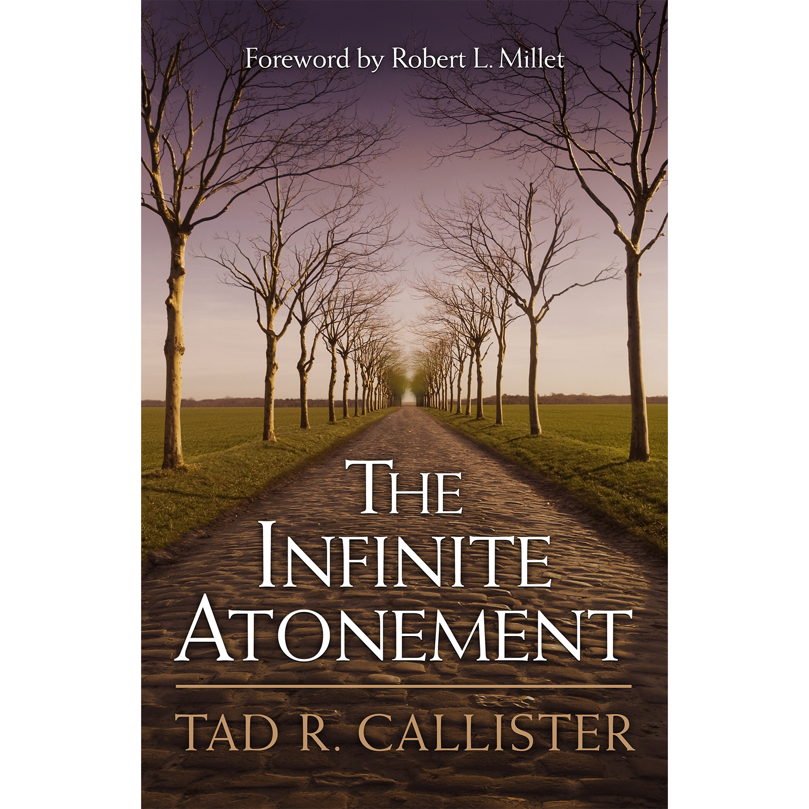 The Infinite Atonement, , large image number 0