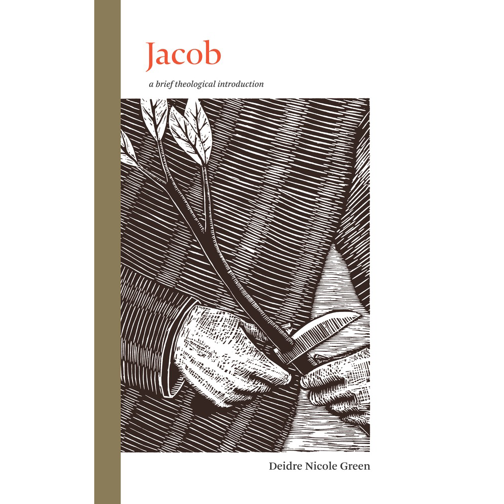 Jacob: A Brief Theological Introduction, , large image number 0
