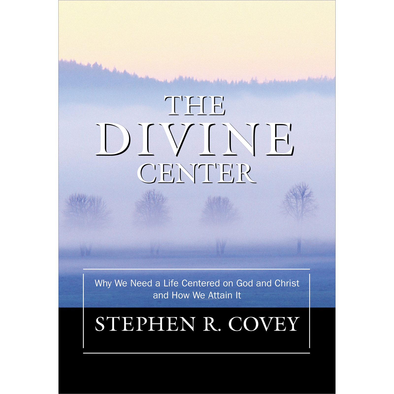 Divine Center C36, , large image number 0