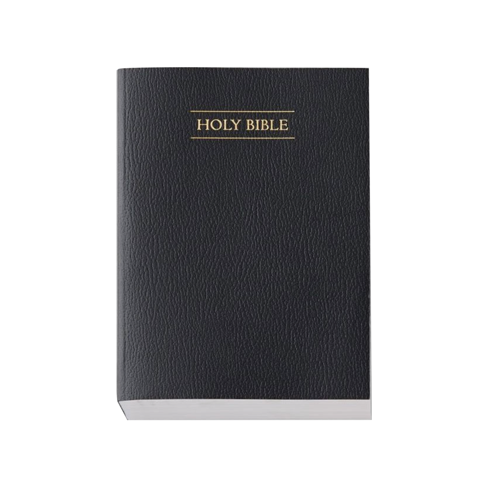 Holy Bible, Economy Regular, Unindexed, , large