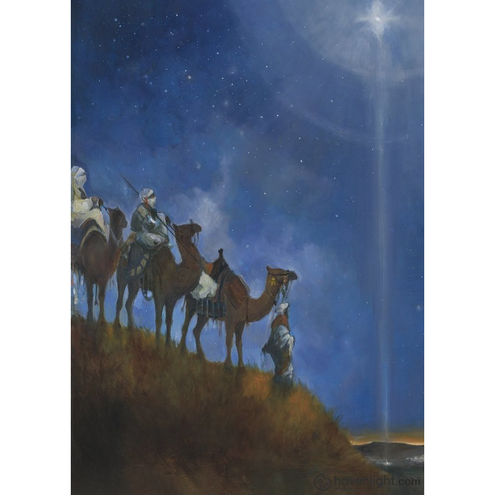 Holy Child is Born Christmas Cards