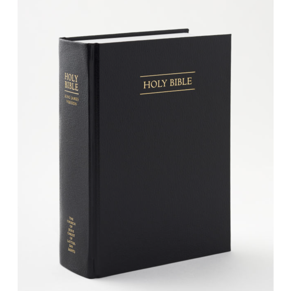 Holy Bible, Regular Economy Unindexed