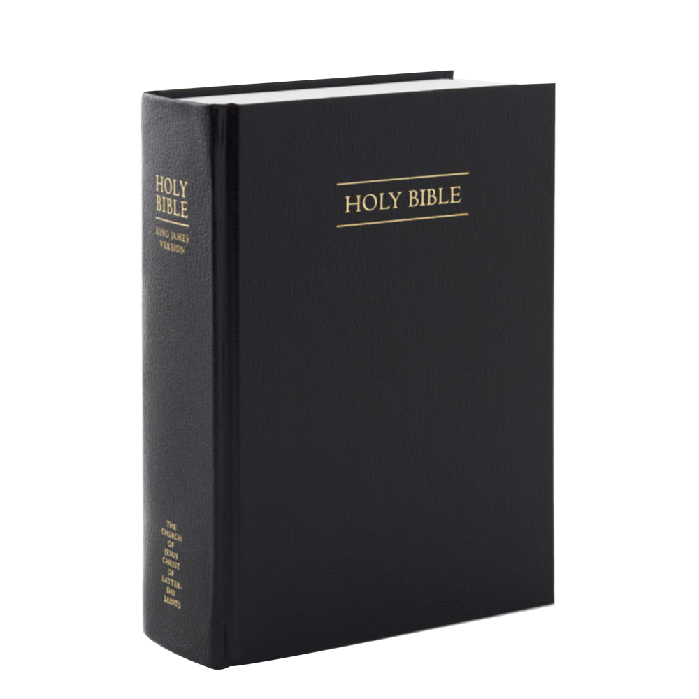 Holy Bible, Regular Economy Unindexed, , large