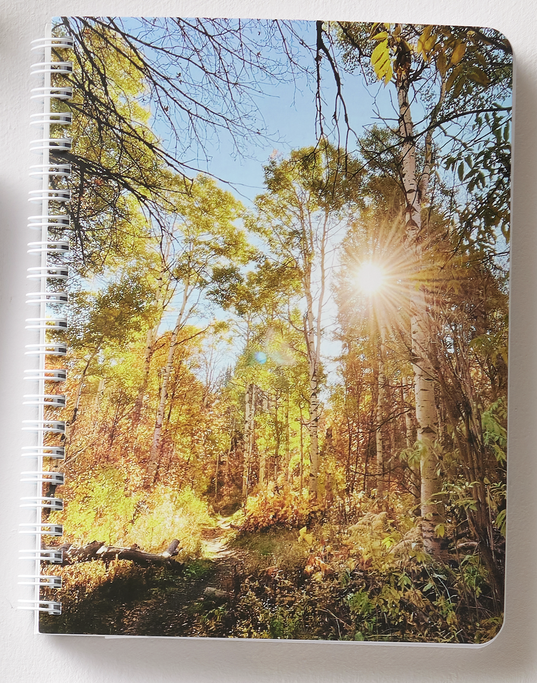 Let Your Light So Shine Notebook, , large image number 3