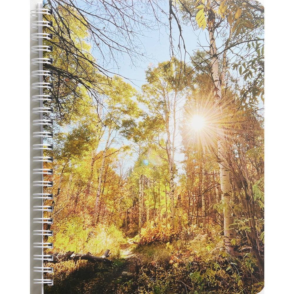 Let Your Light So Shine Notebook, , large image number 2