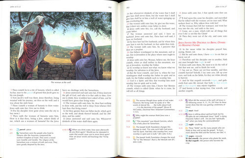 The New Testament for Latter-day Saint Families, , large
