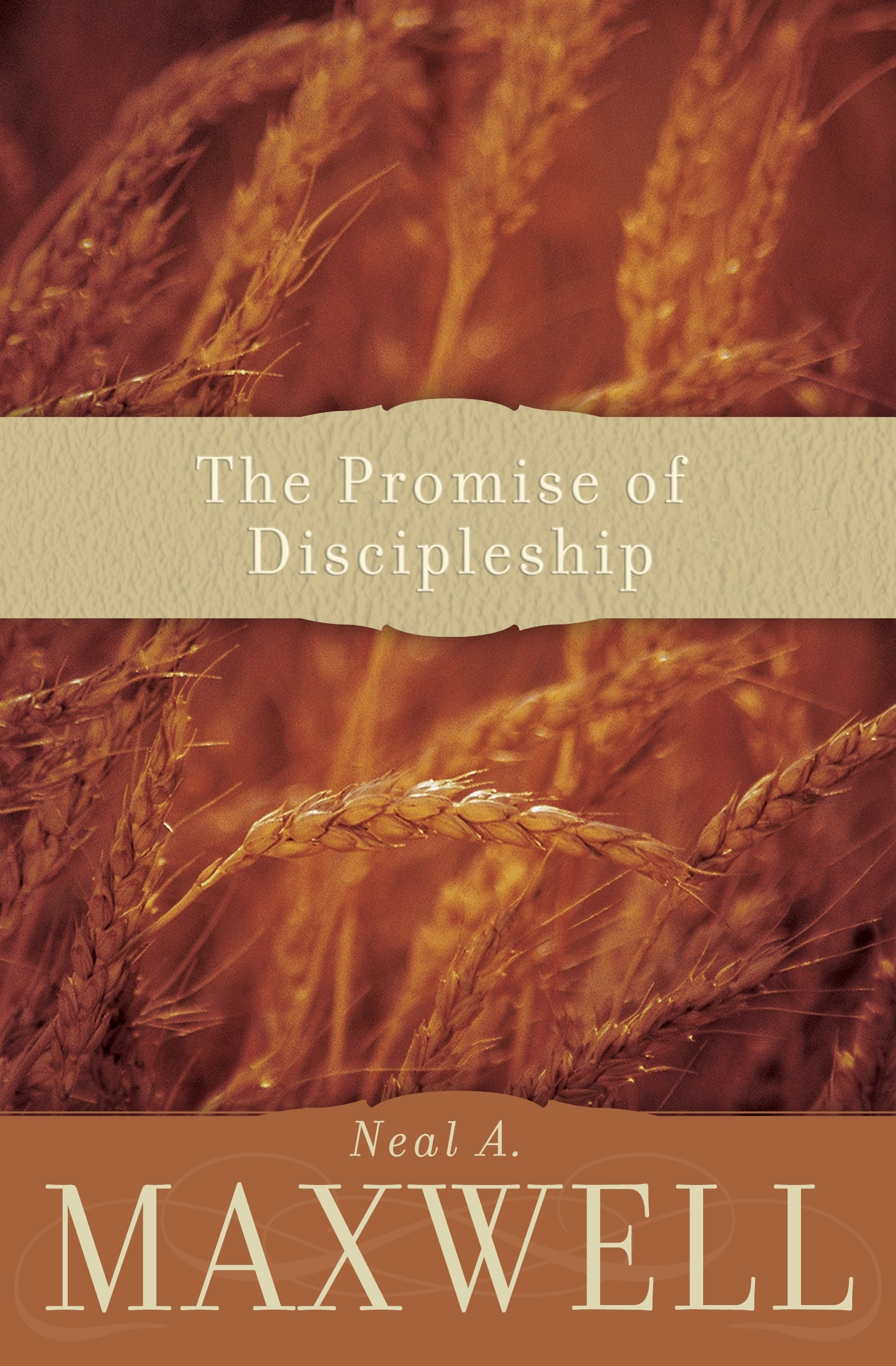 Promise Of Discipleship C52, , large image number 0