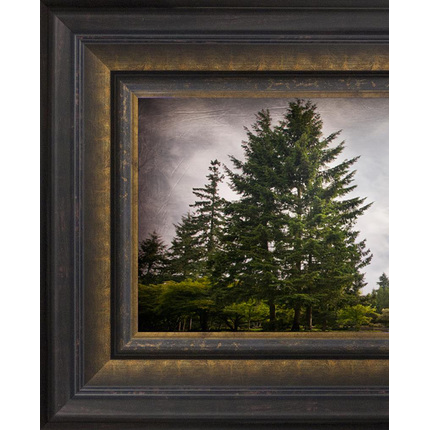 Portland Temple, the Day Dawn is Breaking (19x48 Canvas Framed Art), , large image number 1