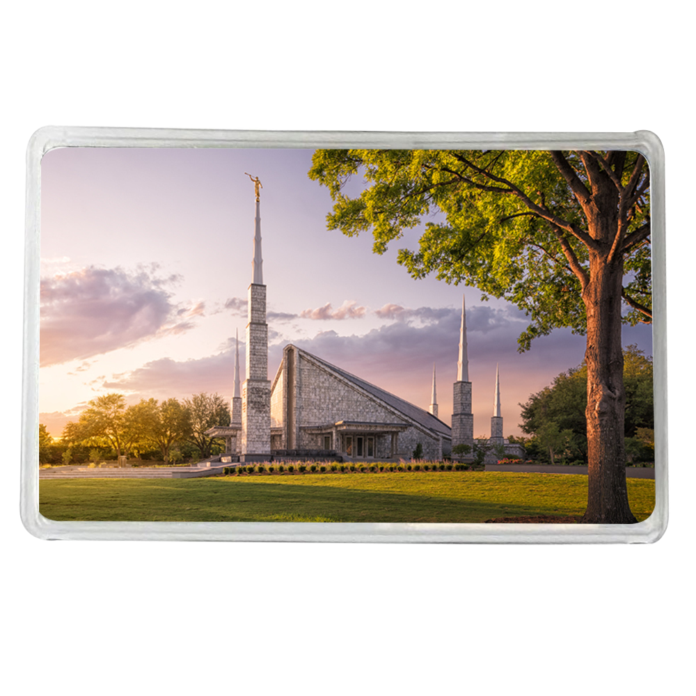 Dallas Temple Recommend Holder