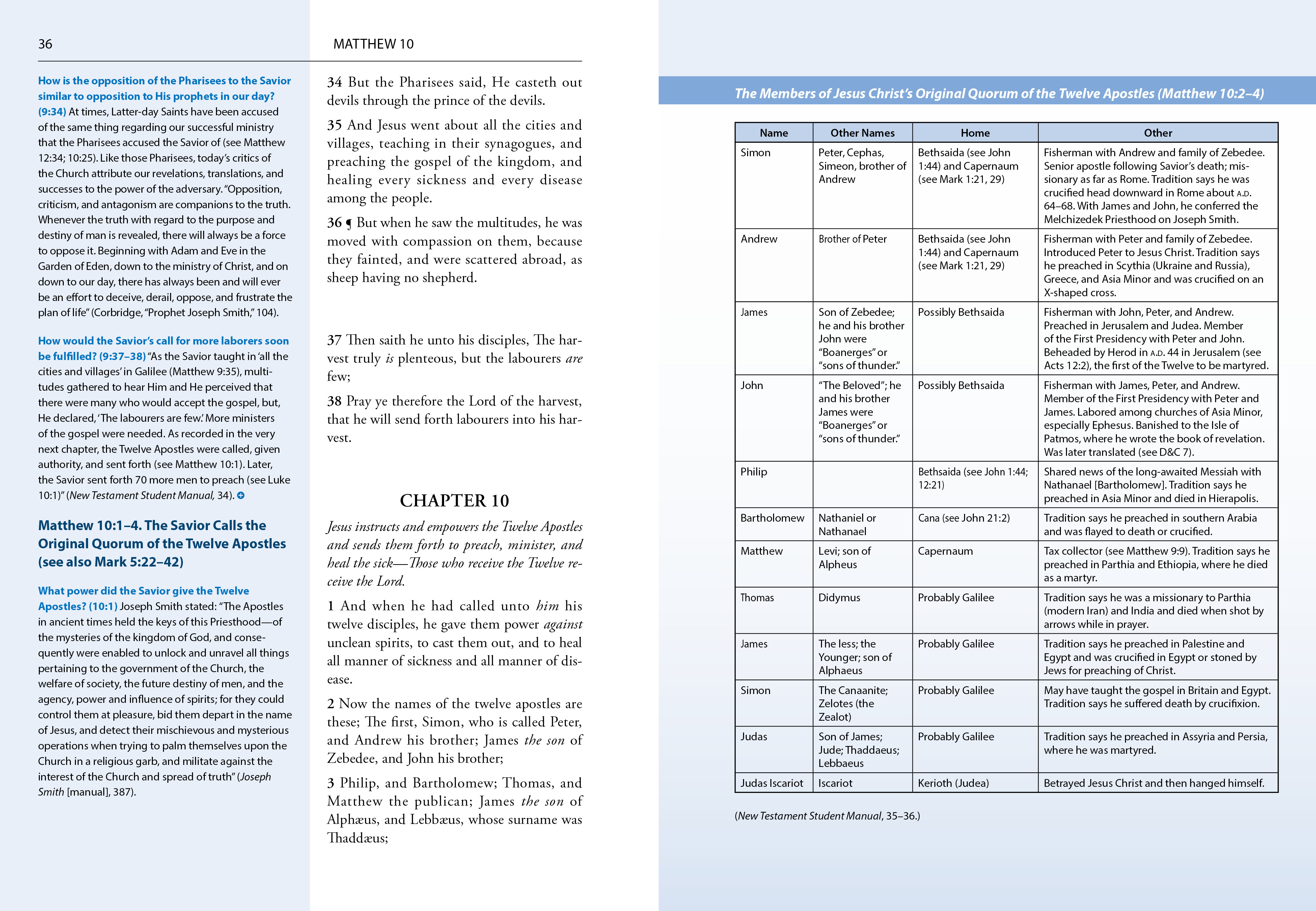 The New Testament Study Guide: Start to Finish, , large