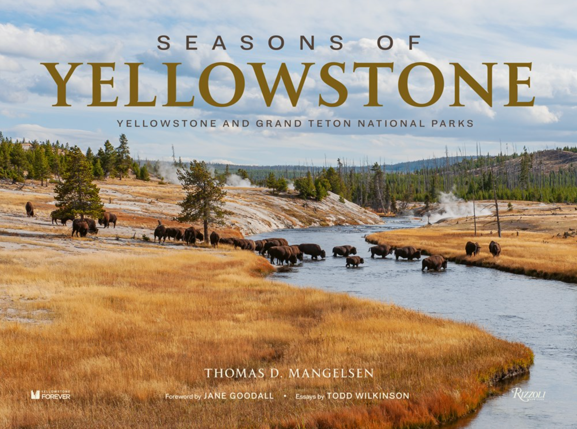 Seasons of Yellowstone, , large image number 0