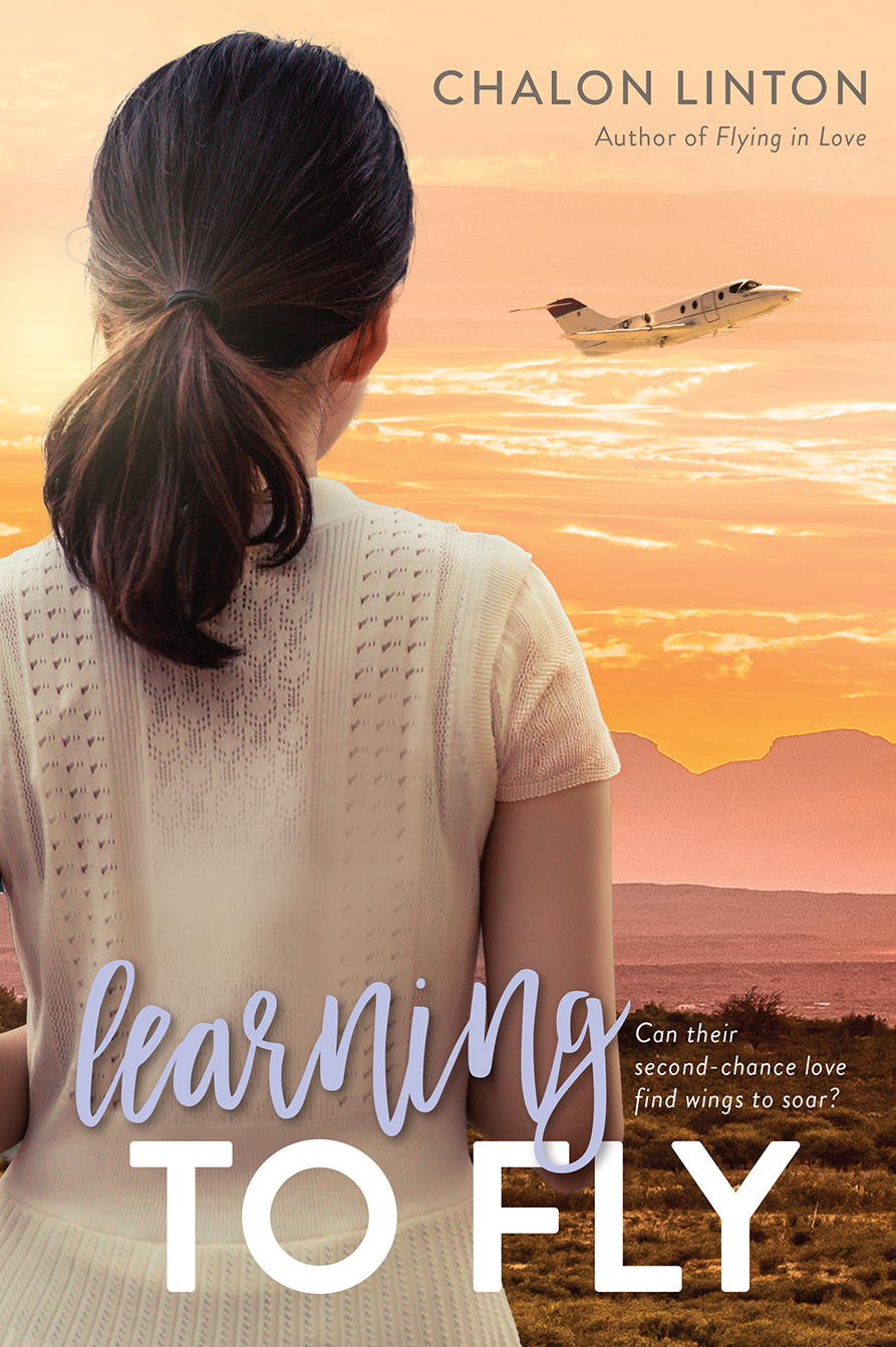 Learning to Fly, , large image number 0
