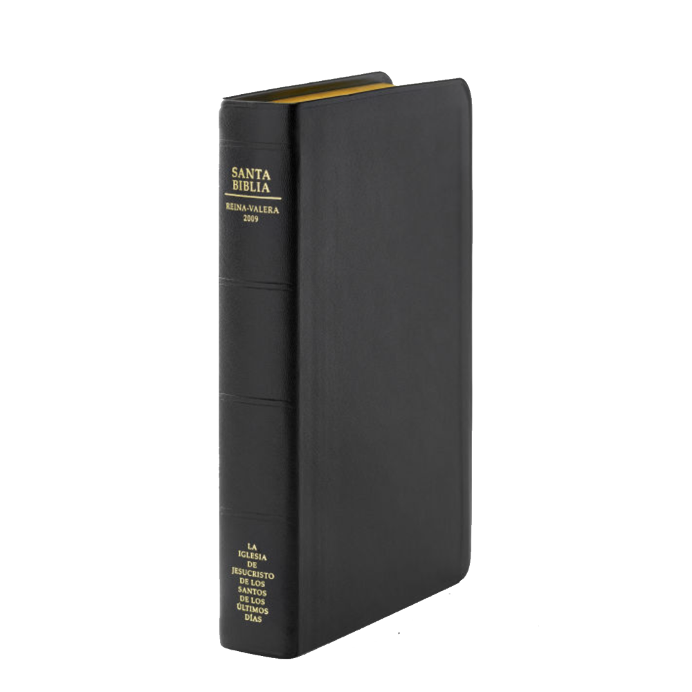 Spanish Holy Bible, Genuine Leather, Regular, Indexed