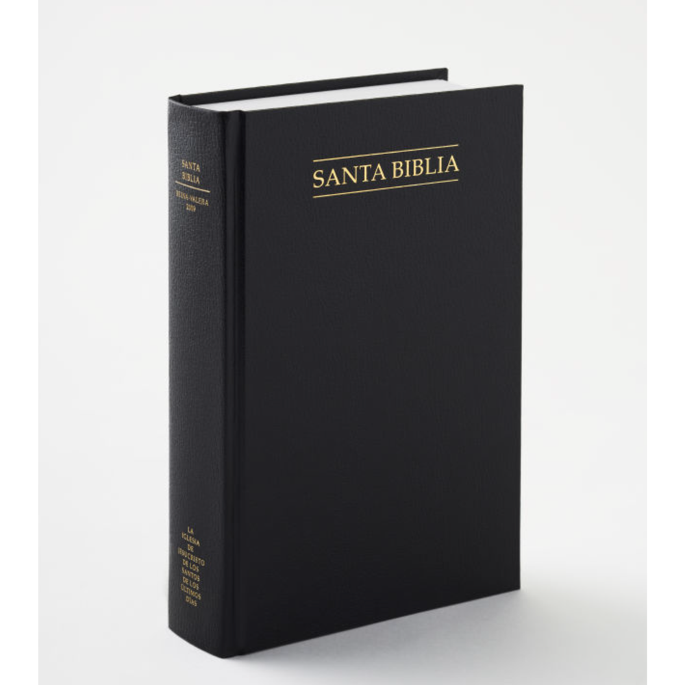 Spanish Holy Bible, Economy Hardcover, Unindexed, , large image number 0