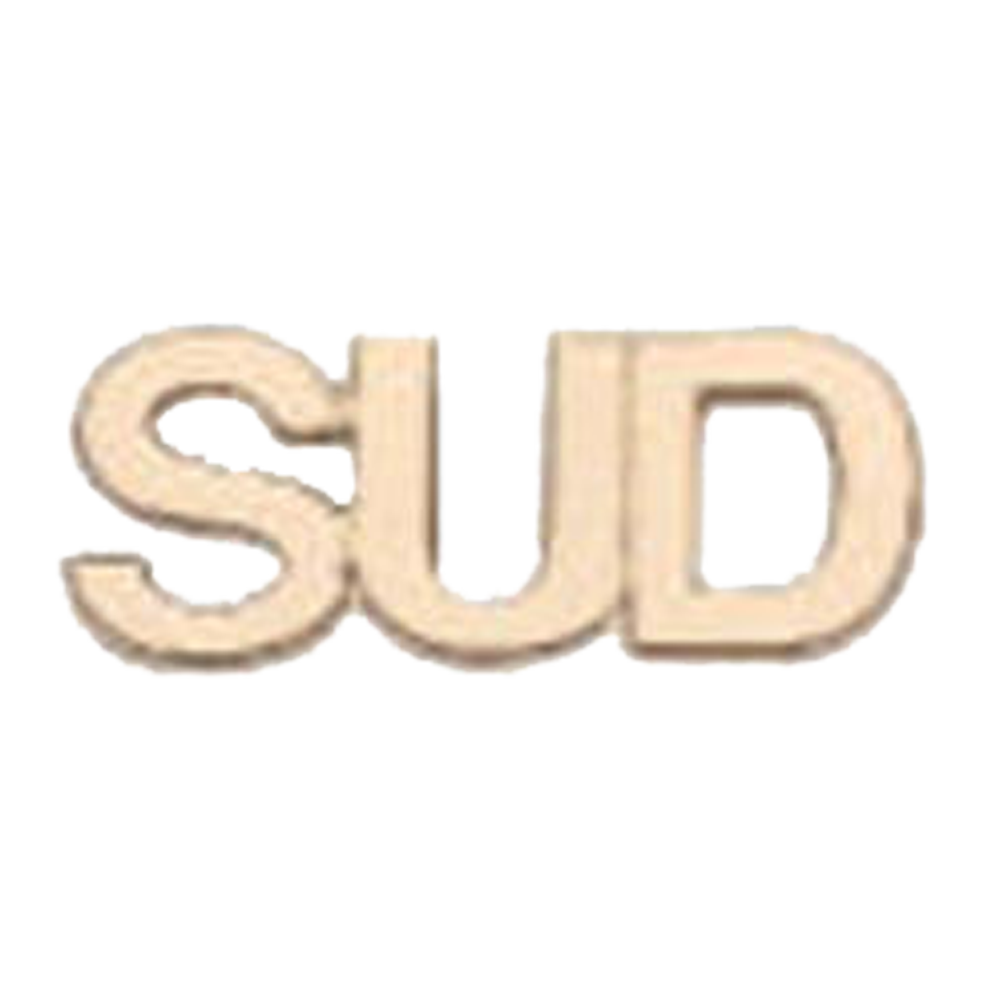 Pin LDS Spanish, , large image number 0