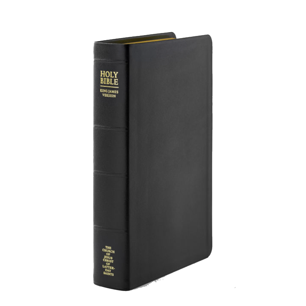 Holy Bible, Genuine Leather, Large, Indexed, , large image number 1