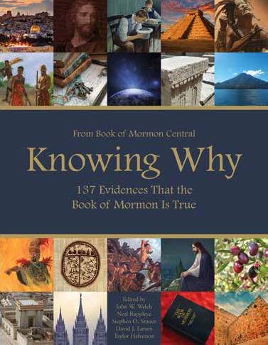 Knowing Why, , large image number 0