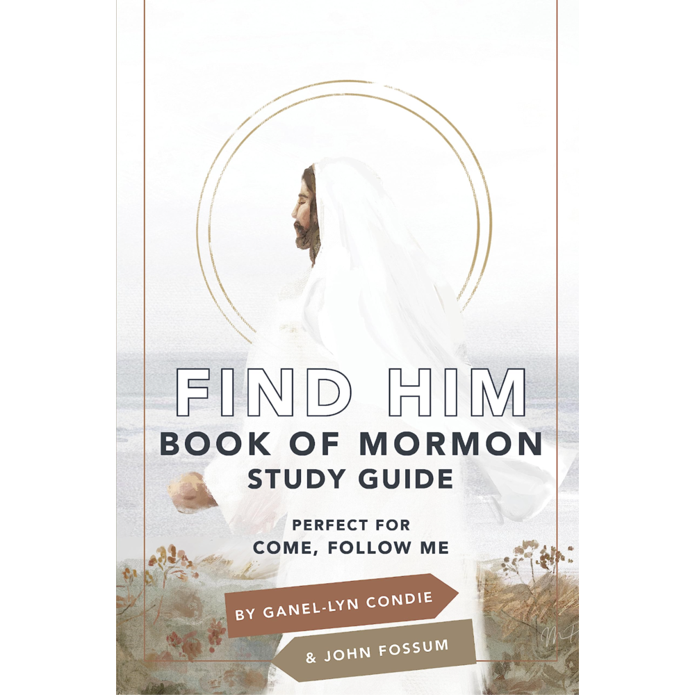 Find Him: Book of Mormon Study Guide, , large image number 0
