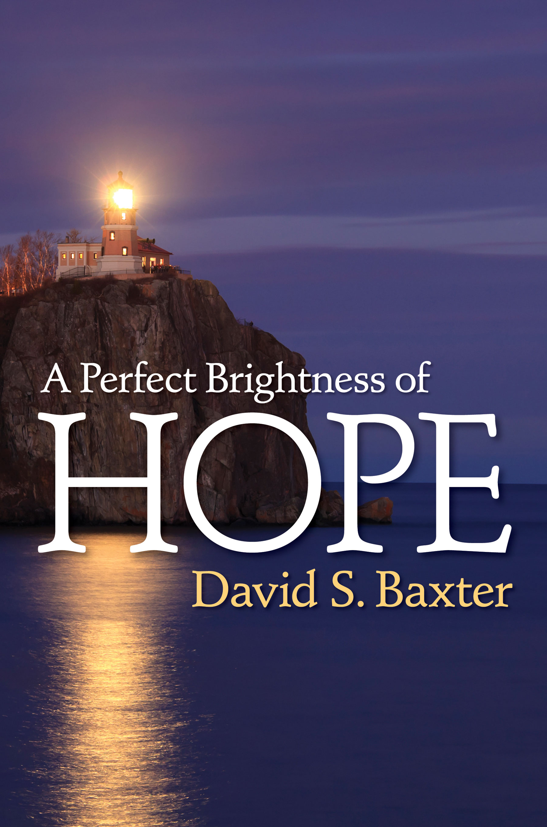 A Perfect Brightness of Hope, , large image number 0