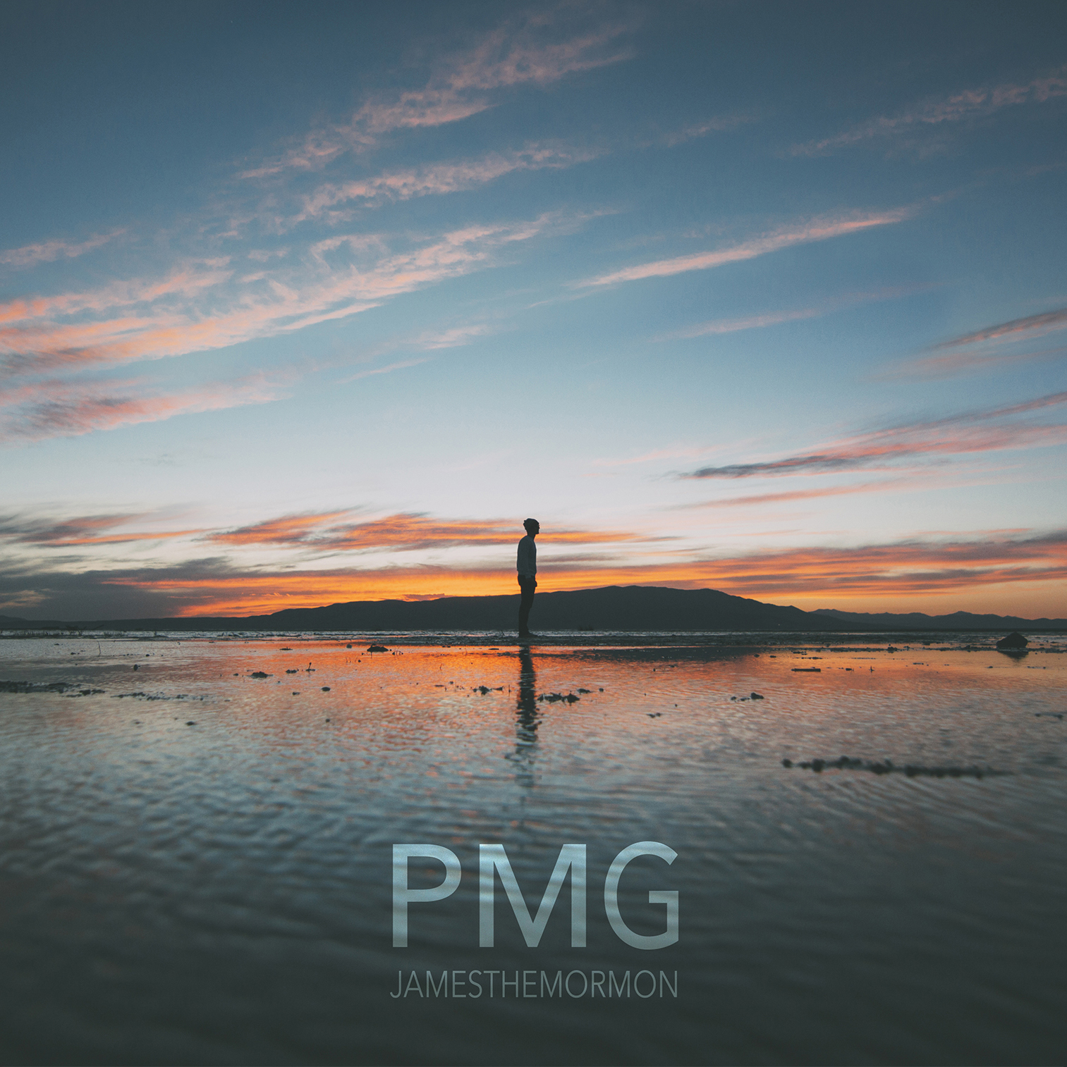 PMG