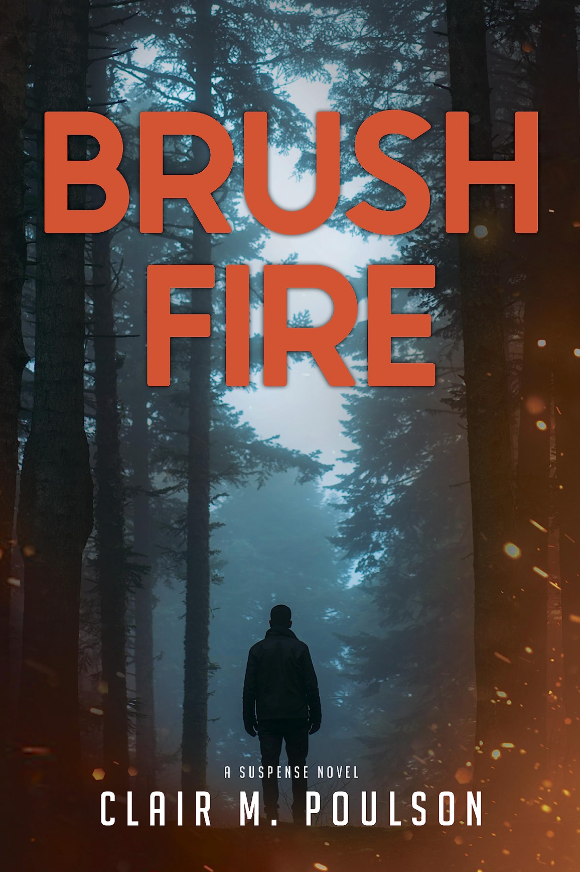 Brush Fire, , large image number 0