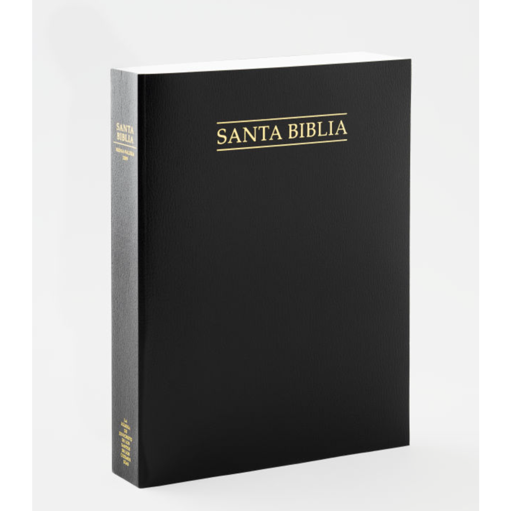 Spanish Holy Bible, Economy Extra Large, Unindexed, , large image number 0