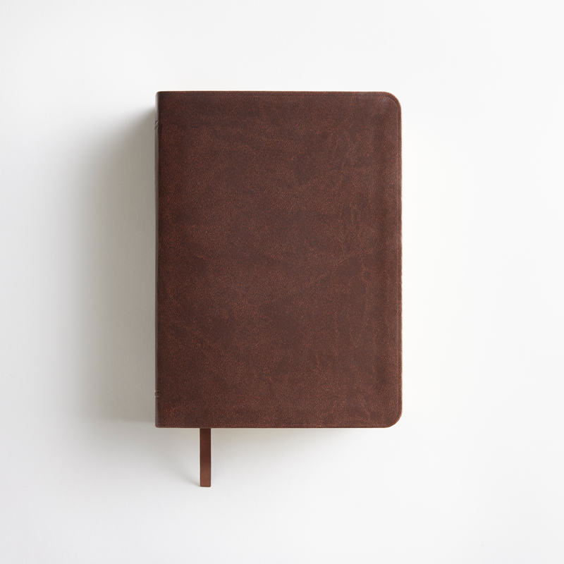 Simulated Leather Holy Bible, Regular (Color Options), , large image number 9