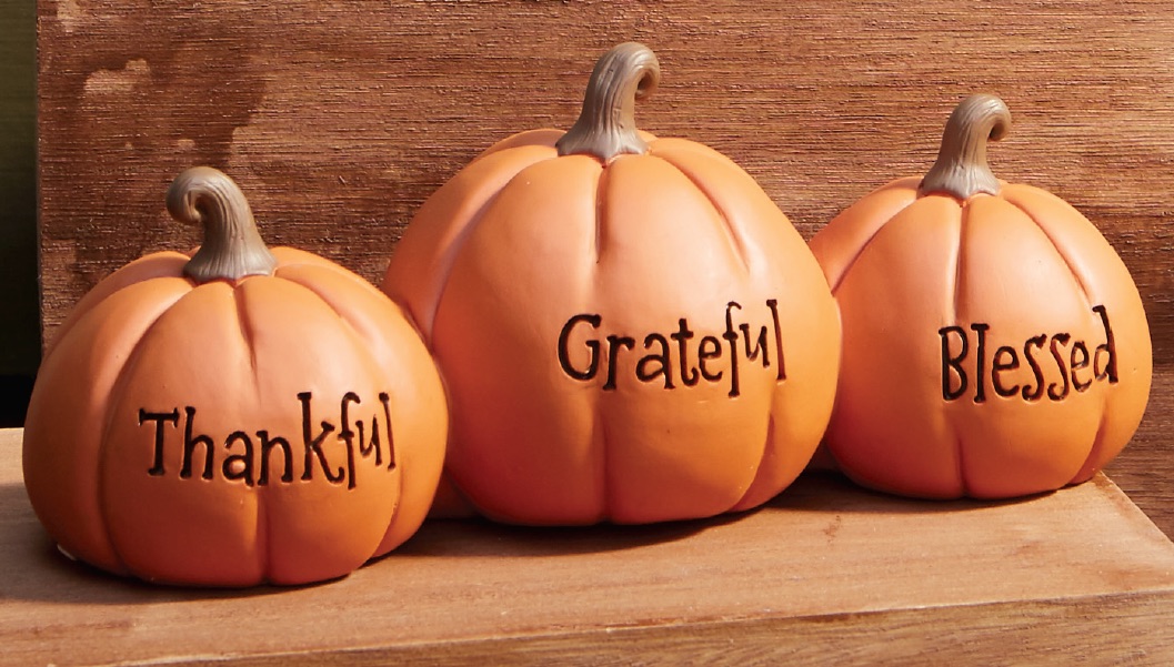 Thankful Grateful Blessed Pumpkins, , large image number 1