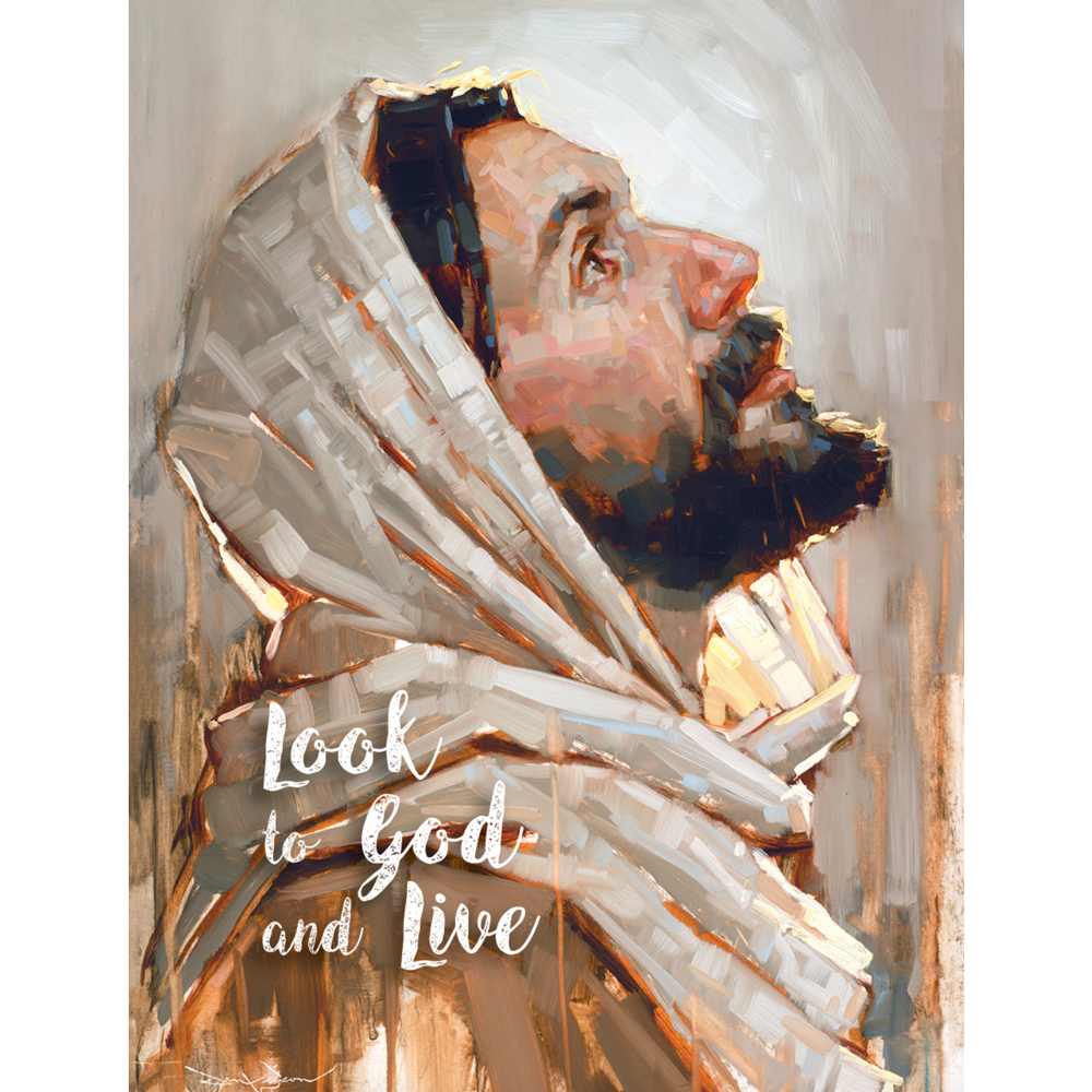 Look to God and Live Mini Picture Pack, , large image number 0
