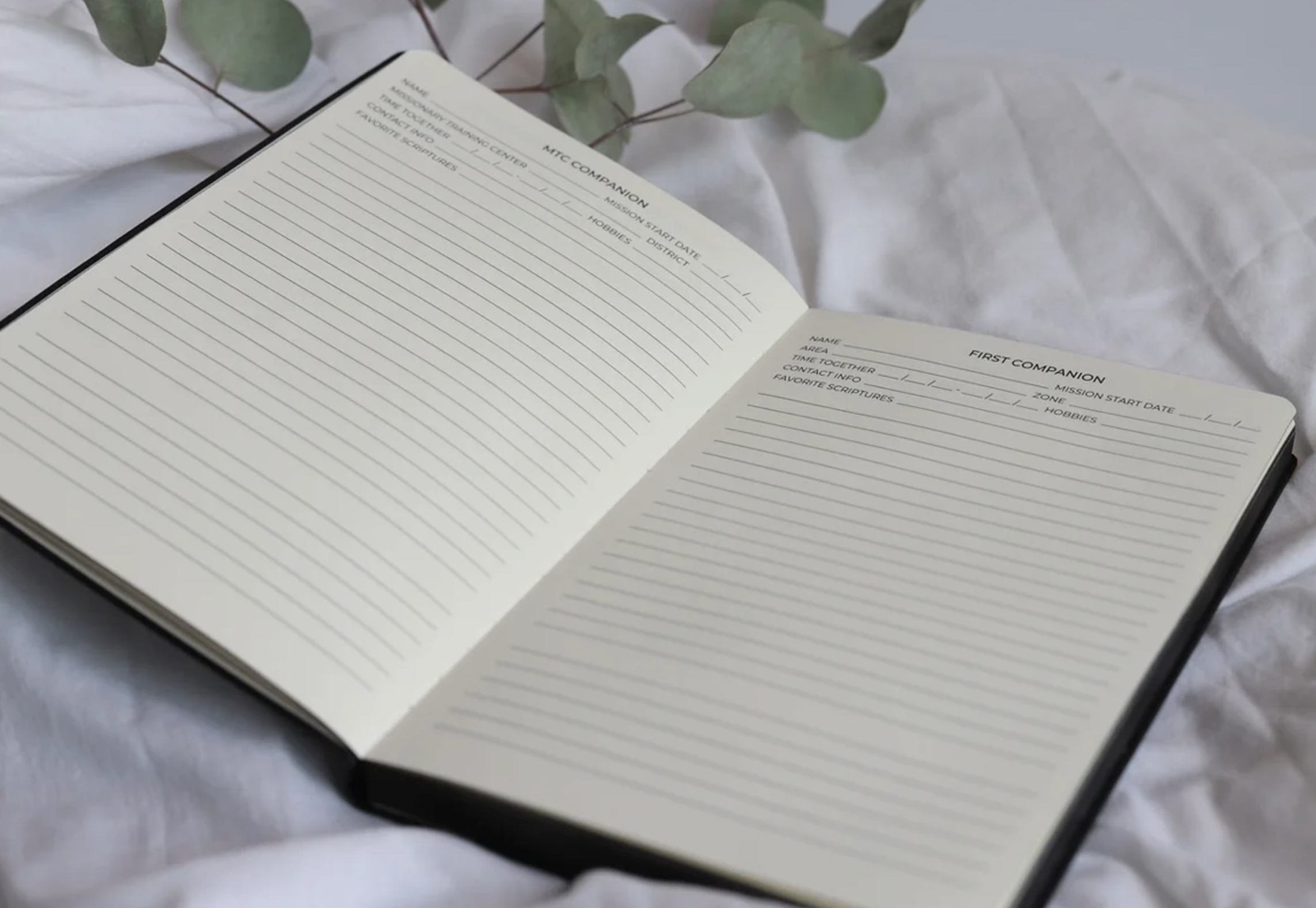 Study Missionary Journal, , large