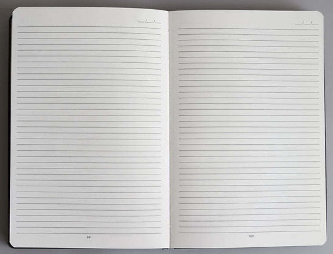 Daily Missionary Journal, , large