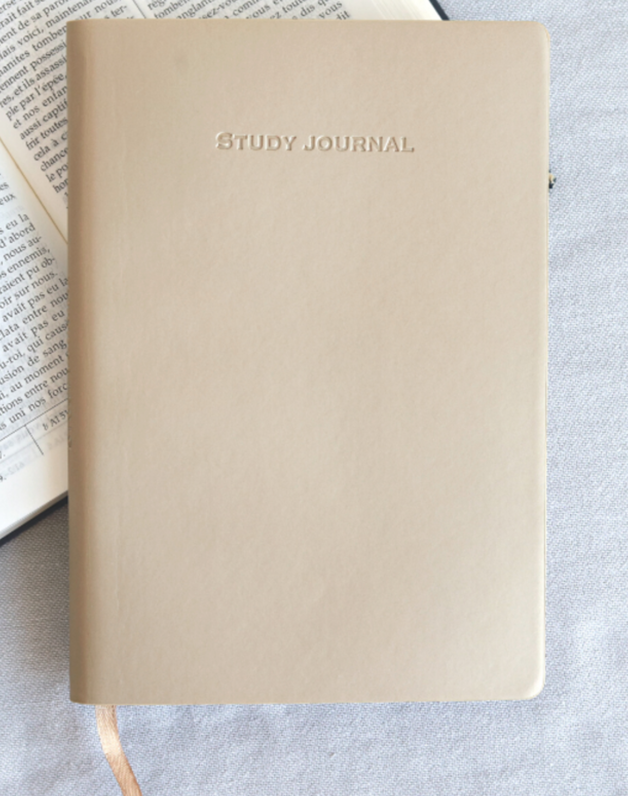 Study Missionary Journal, , large image number 4