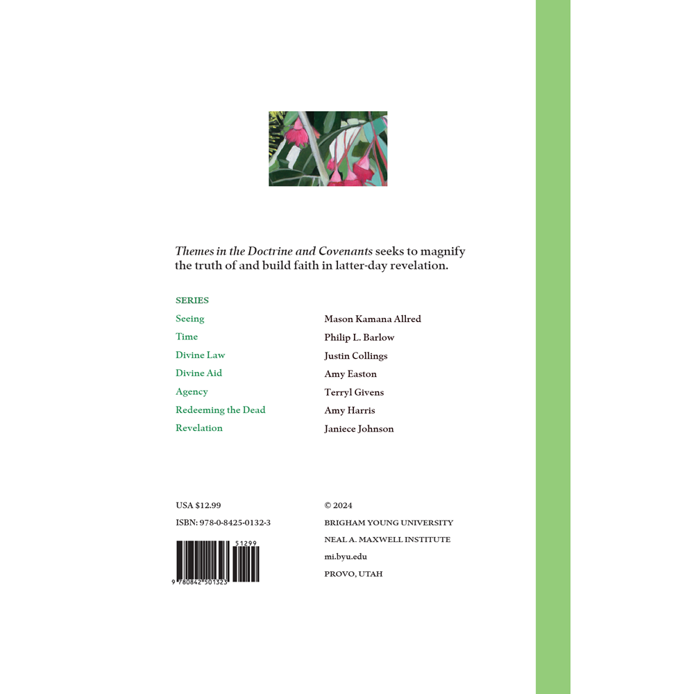Divine Aid: Themes in the Doctrine and Covenants, , large