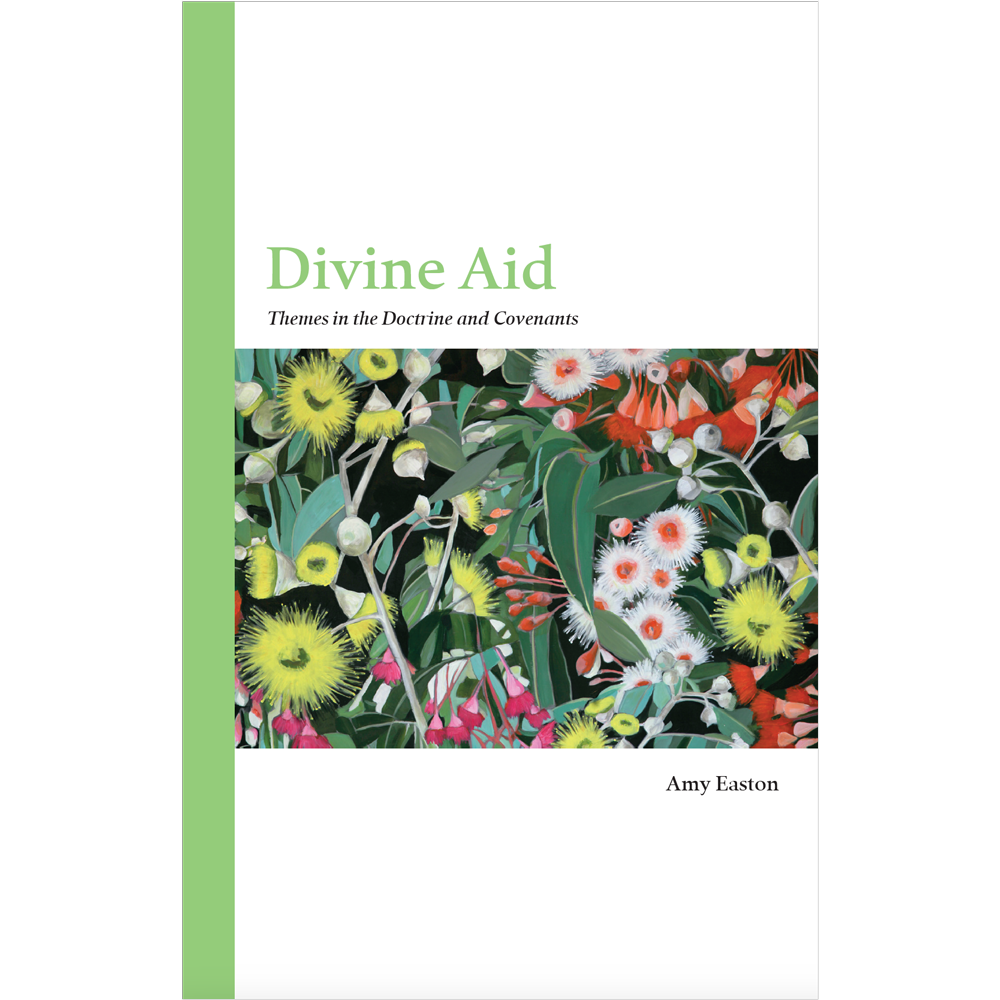 Divine Aid: Themes in the Doctrine and Covenants