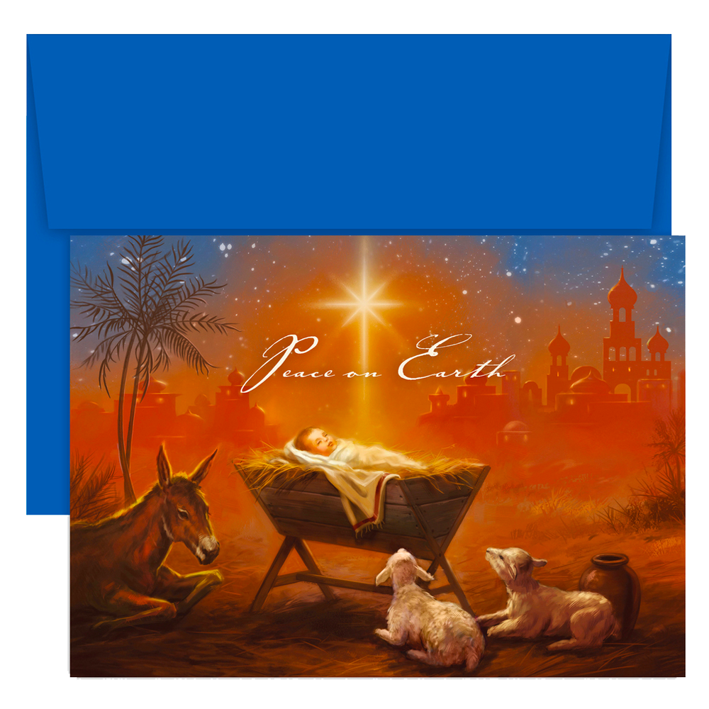 Baby Jesus with Animals Christmas Cards, , large image number 1