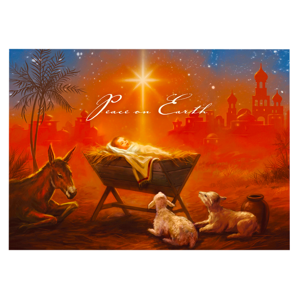 Baby Jesus with Animals Christmas Cards, , large image number 0