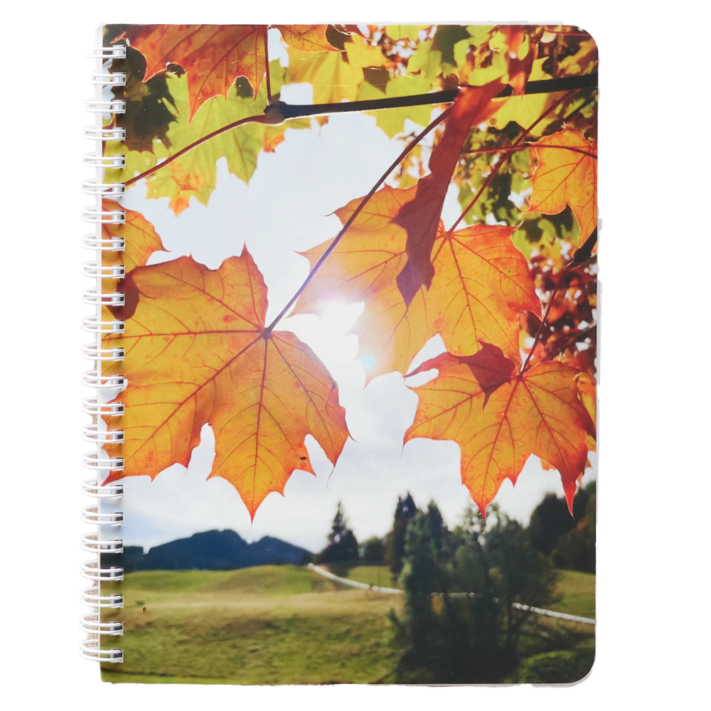 Have Joy Notebook