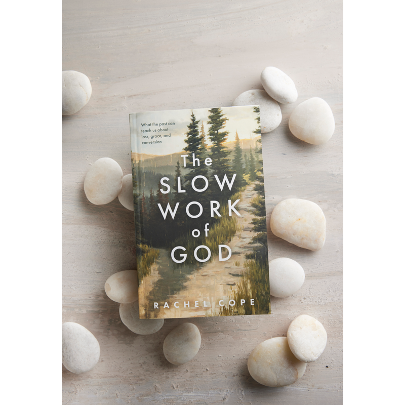 The Slow Work of God, , large image number 5