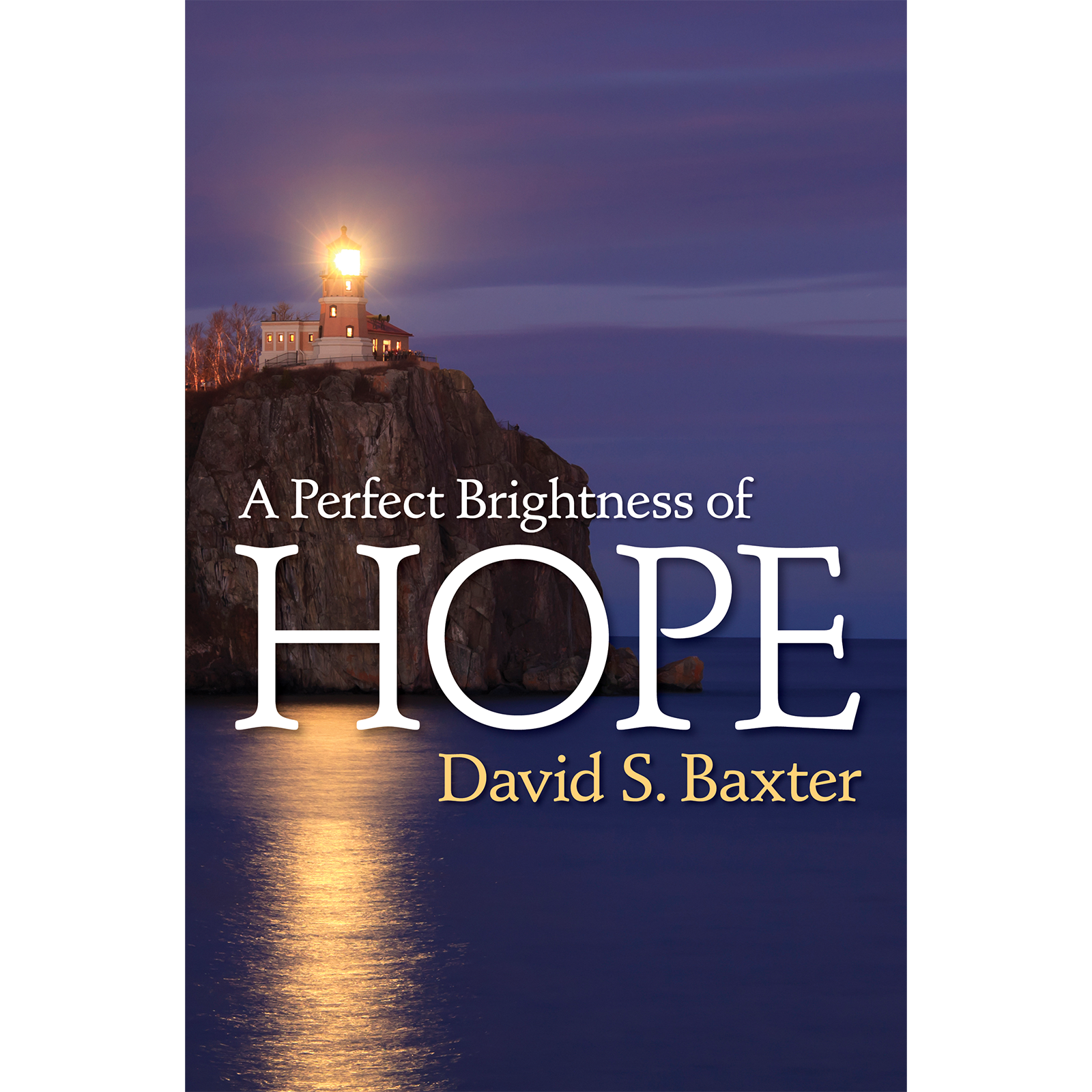 A Perfect Brightness of Hope, , large image number 0
