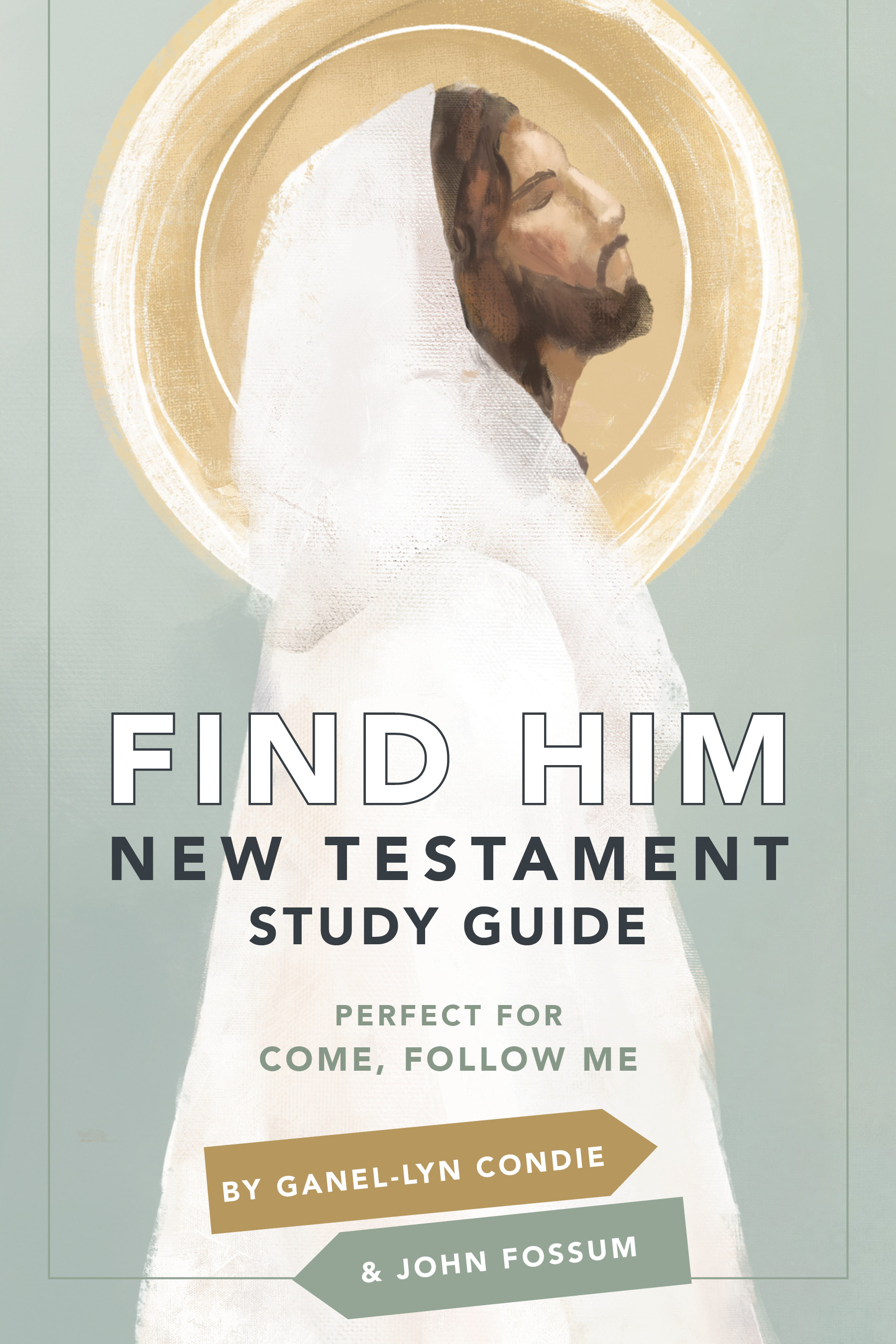 Find Him: New Testament Study Guide