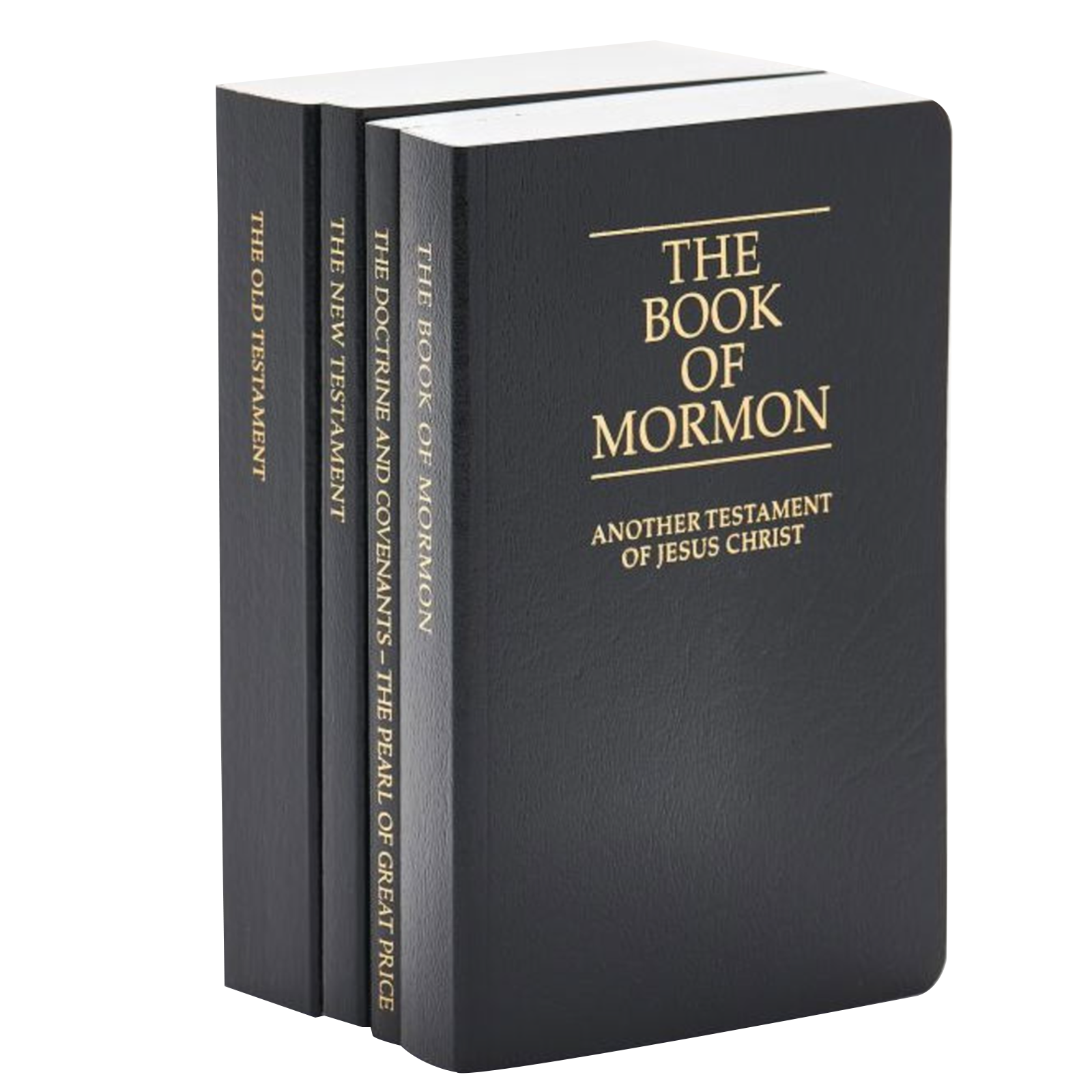 Pocket-size Scripture Set