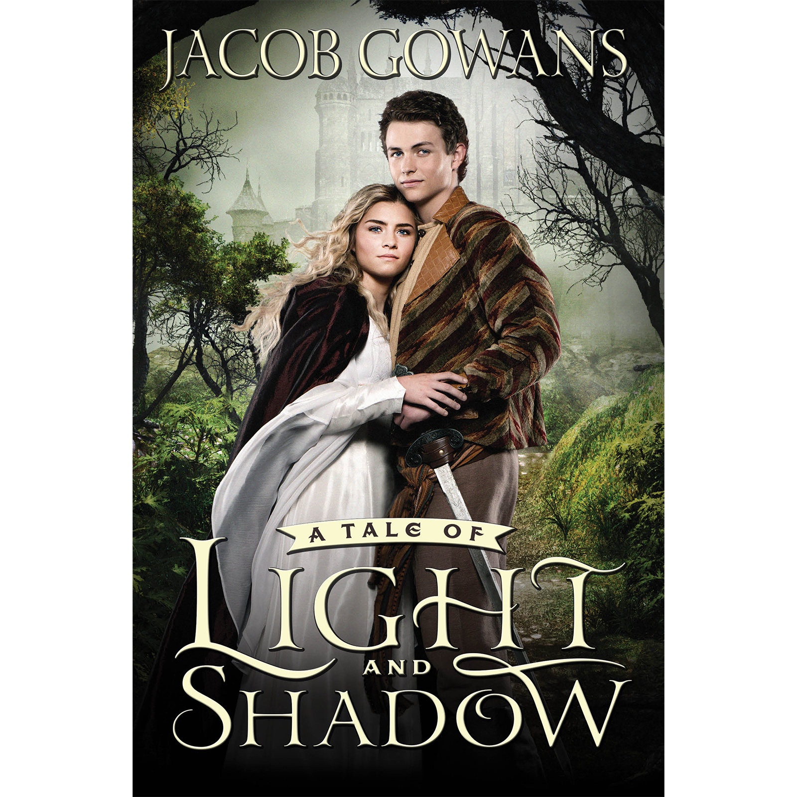 A Tale of Light and Shadow, , large image number 0