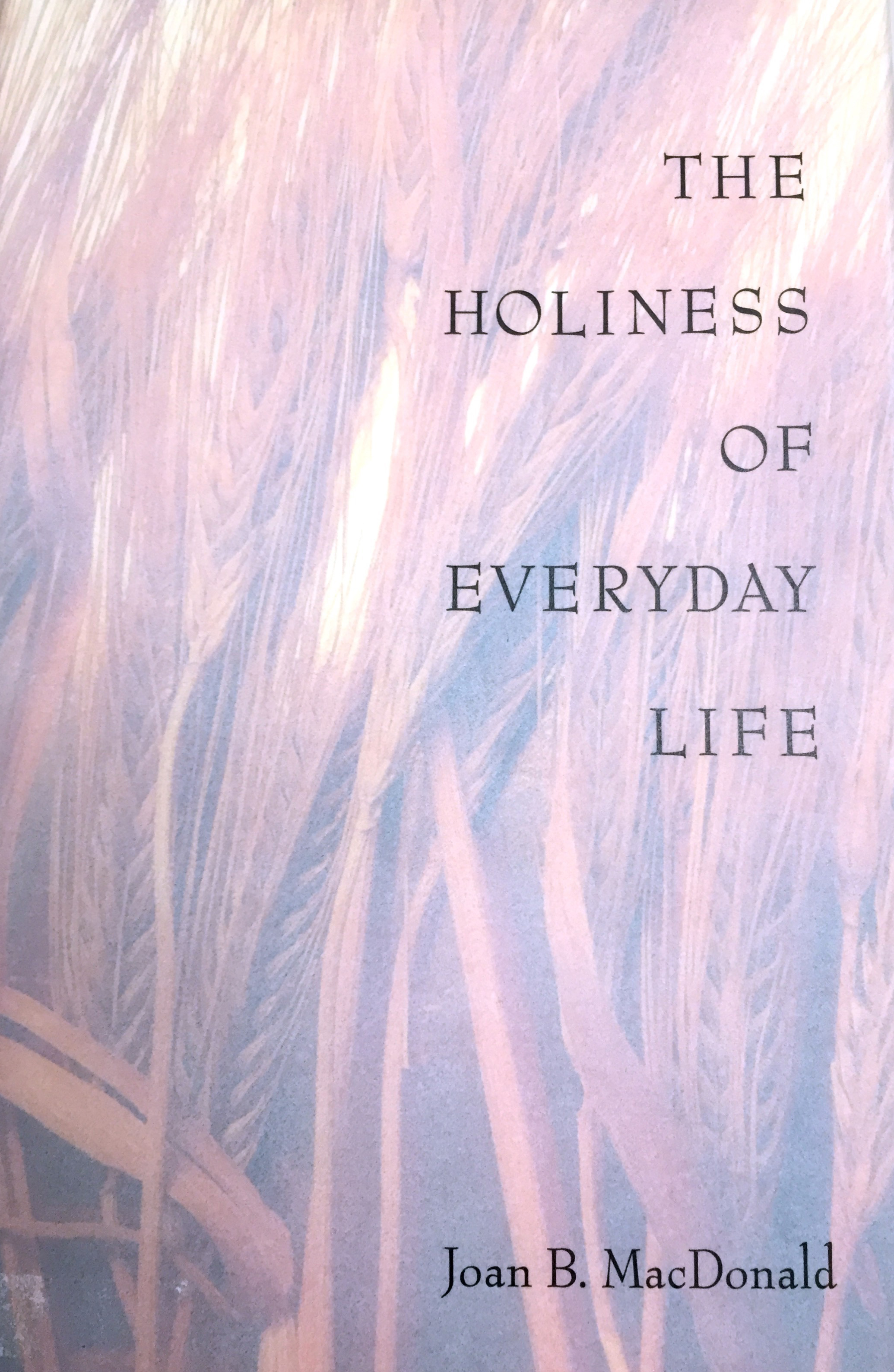 The Holiness of Everyday Life, , large image number 0