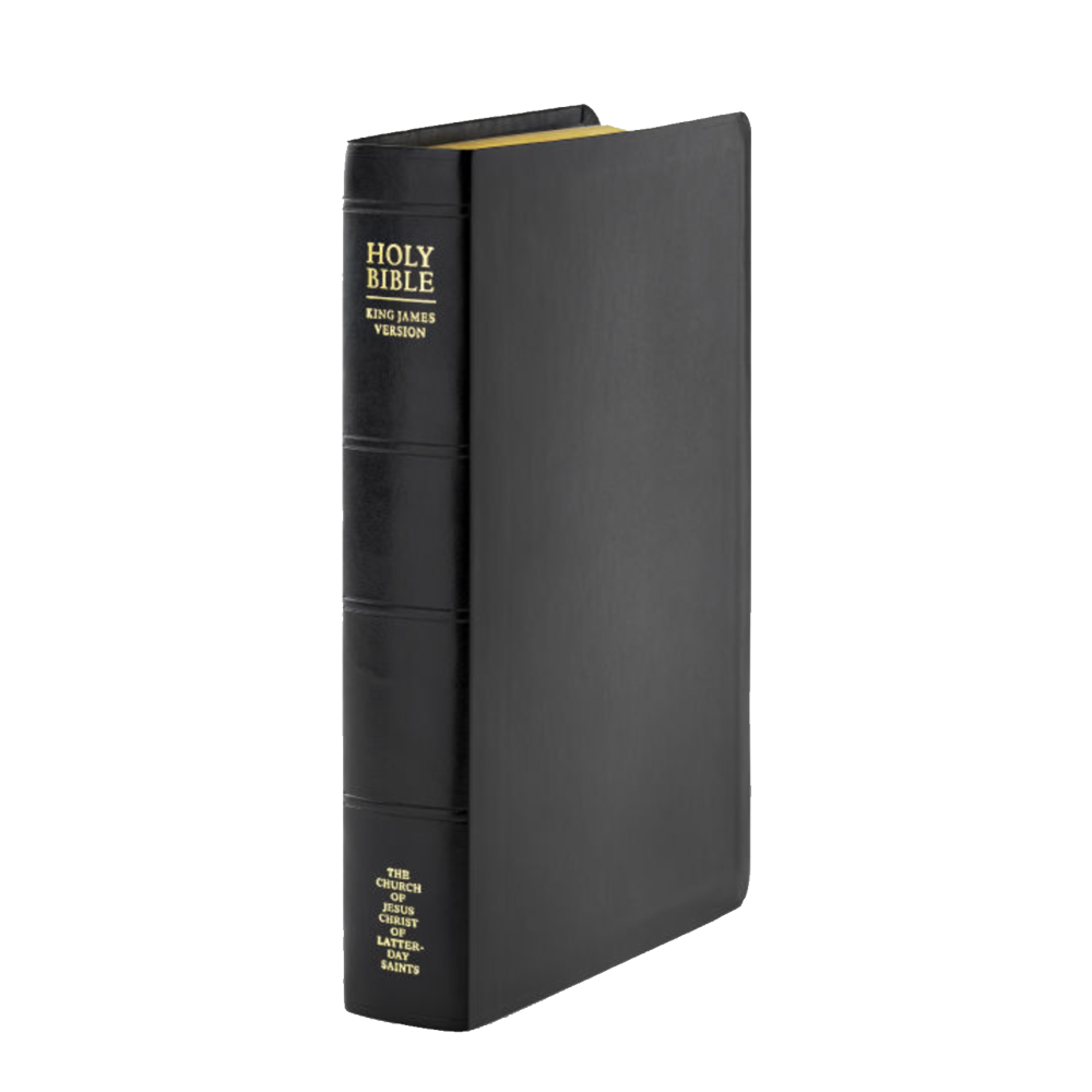 Holy Bible Simulated Leather, Large, Indexed, , large image number 2