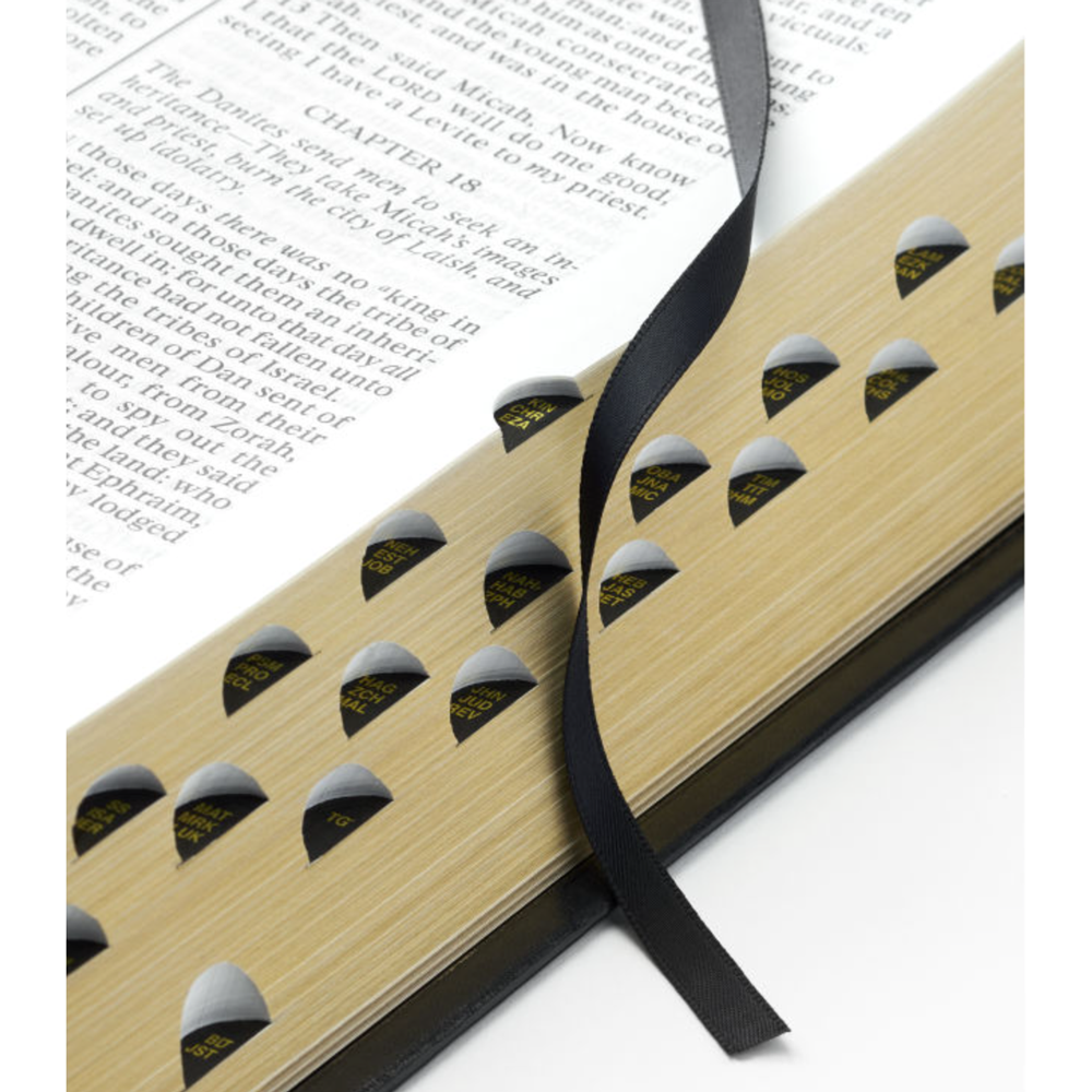 Holy Bible Simulated Leather, Large, Indexed, , large