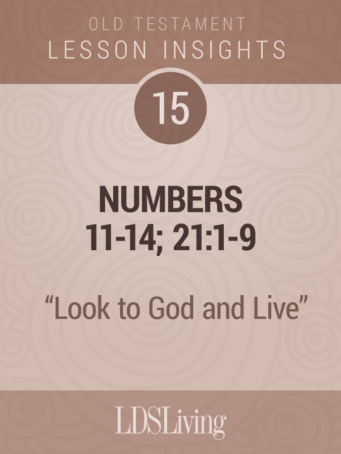 Lesson Insights Old Testament #15, , large image number 0