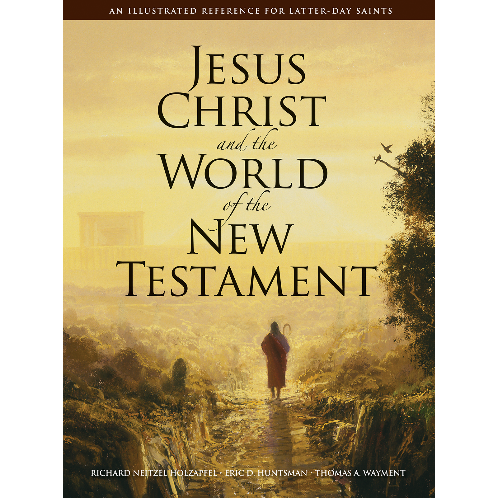 Jesus Christ And The World Of The New Testament, , large image number 0