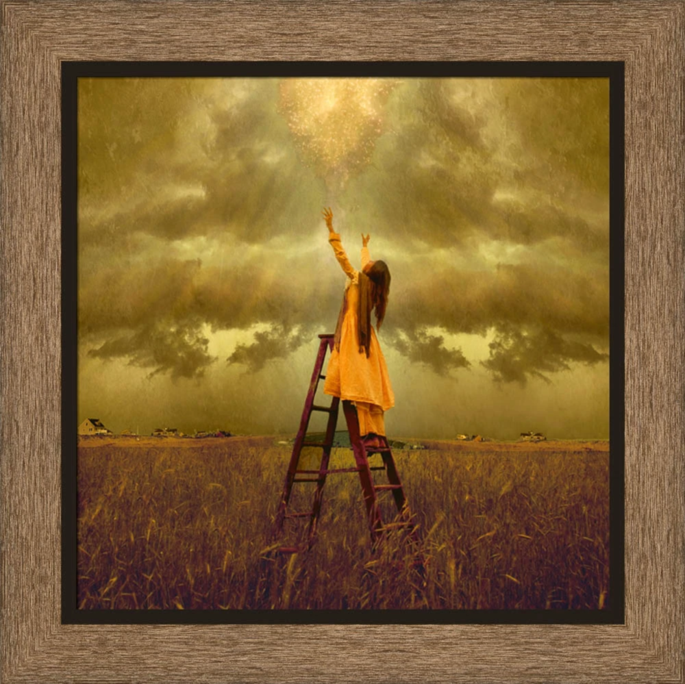 Grace (19x19 Framed Art)
