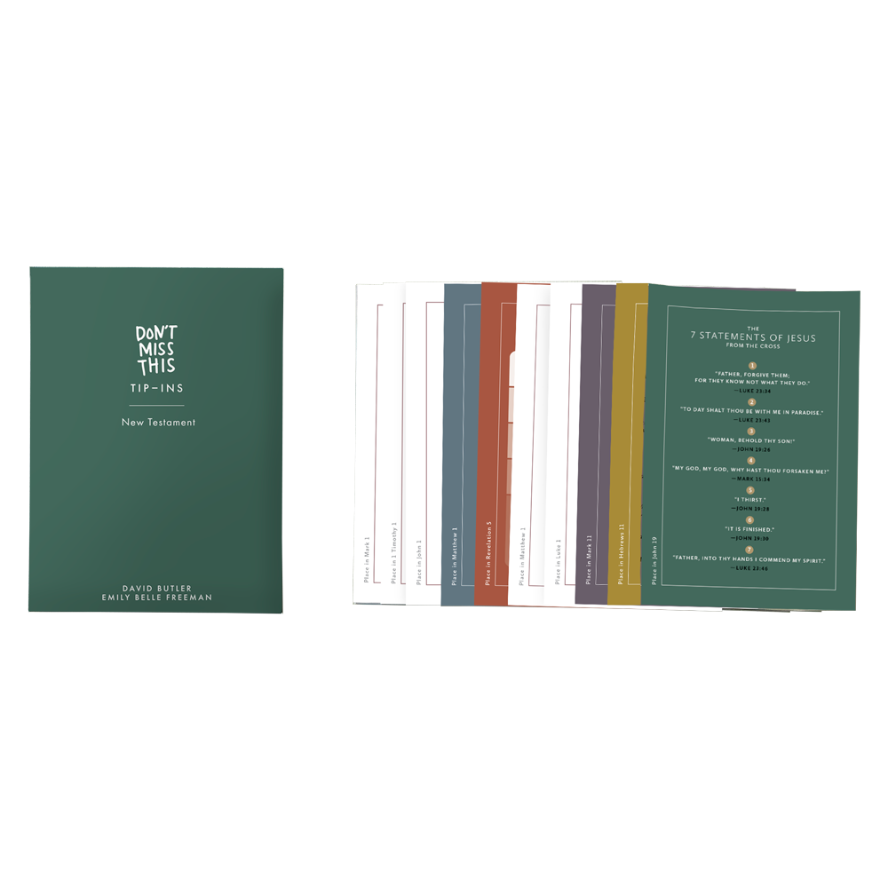 Don't Miss This Tip-Ins for The New Testament, , large