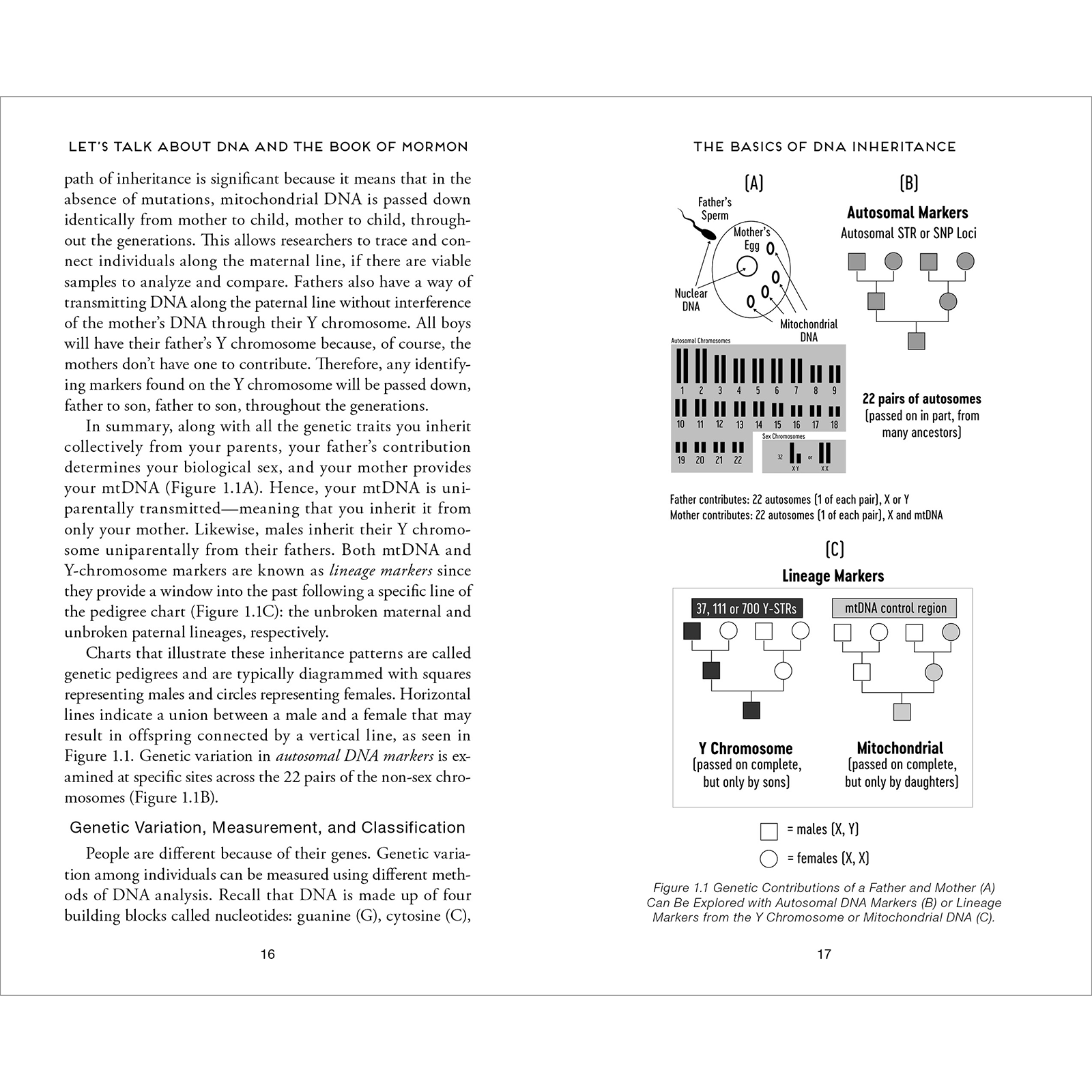 Let's Talk about Misconceptions with DNA and the Book of Mormon, , large image number 3